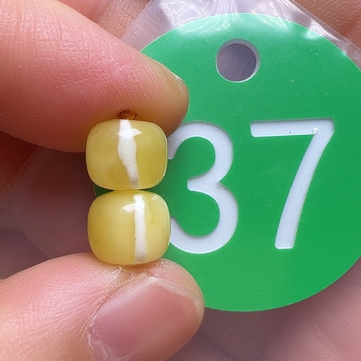 蜜蜡未镶嵌珠宝奇石8m m