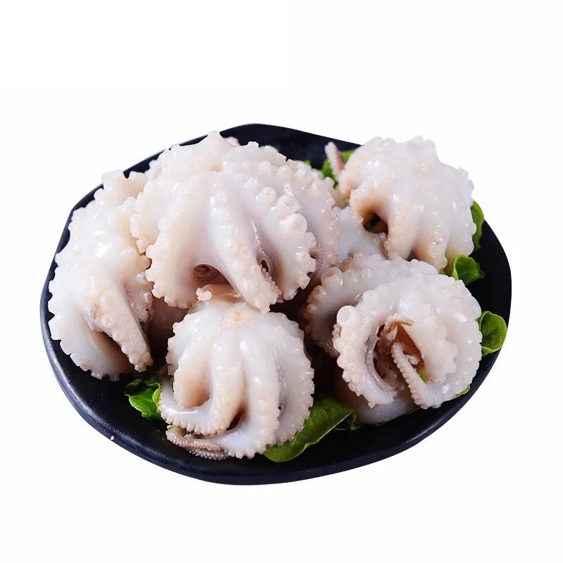 冷冻八爪鱼（一包18个）
