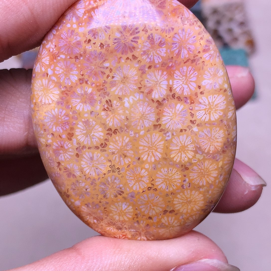 终***悔硅化玉合金珊瑚玉