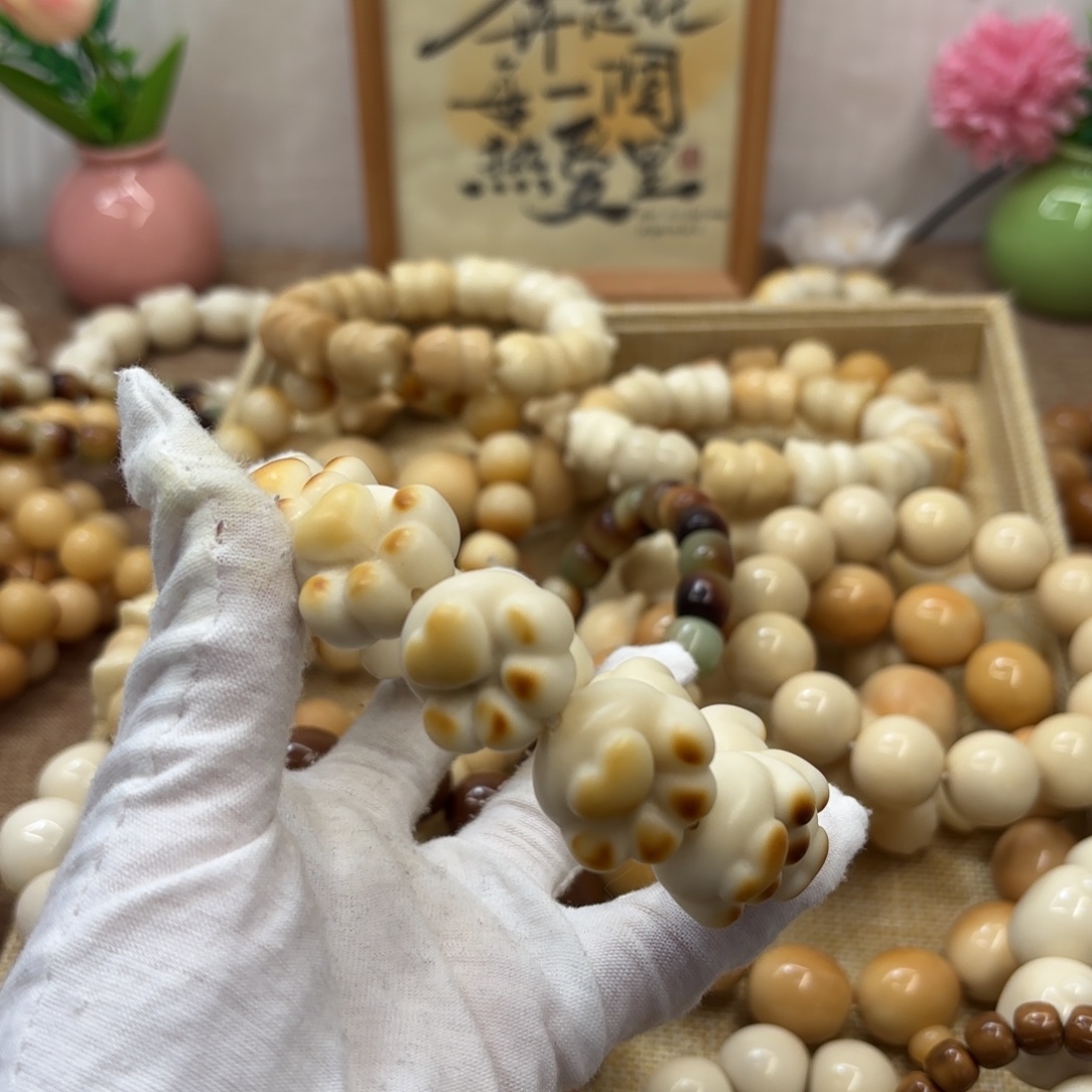 吊坠菩提根/象牙果23+干磨小瑕疵牙果熊爪771