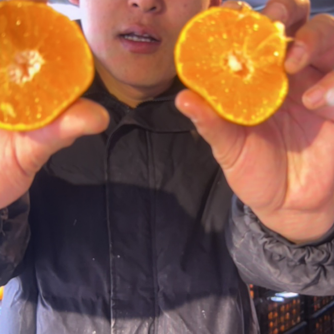 产地直销！爱媛38果冻橙！大箱17斤装！山东省