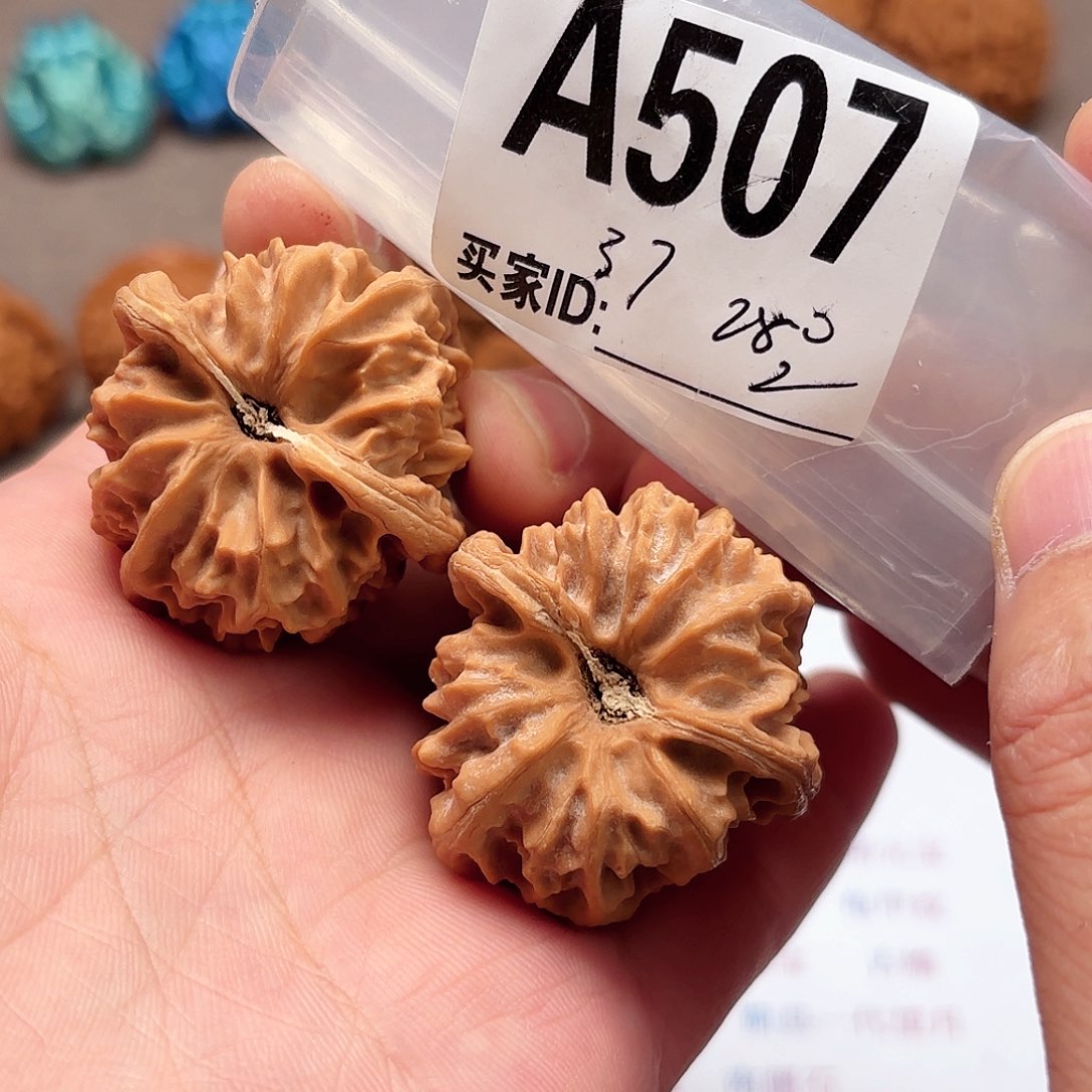 把件文玩核桃37大龙507