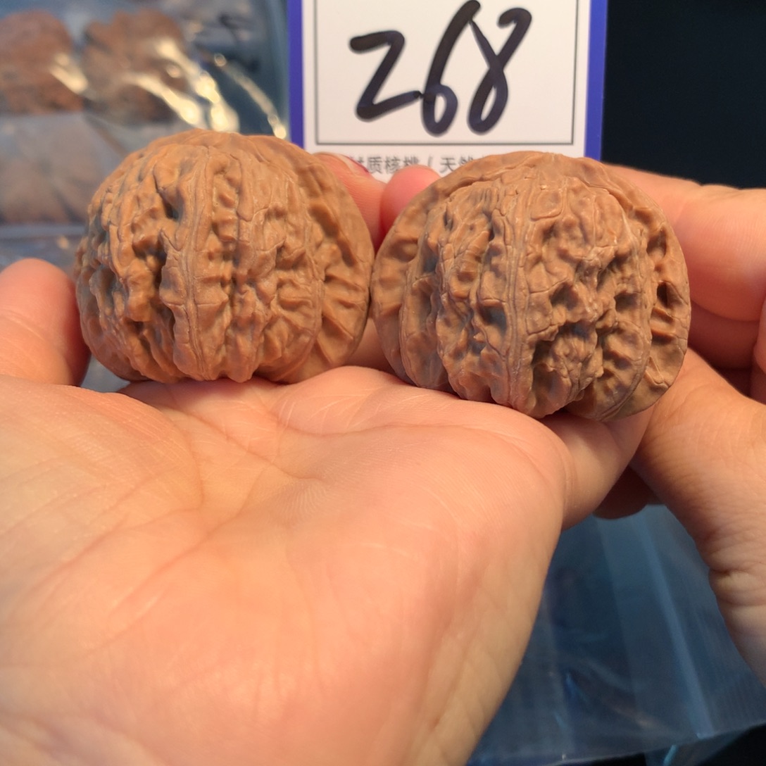 把件文玩核桃268白狮子4.5