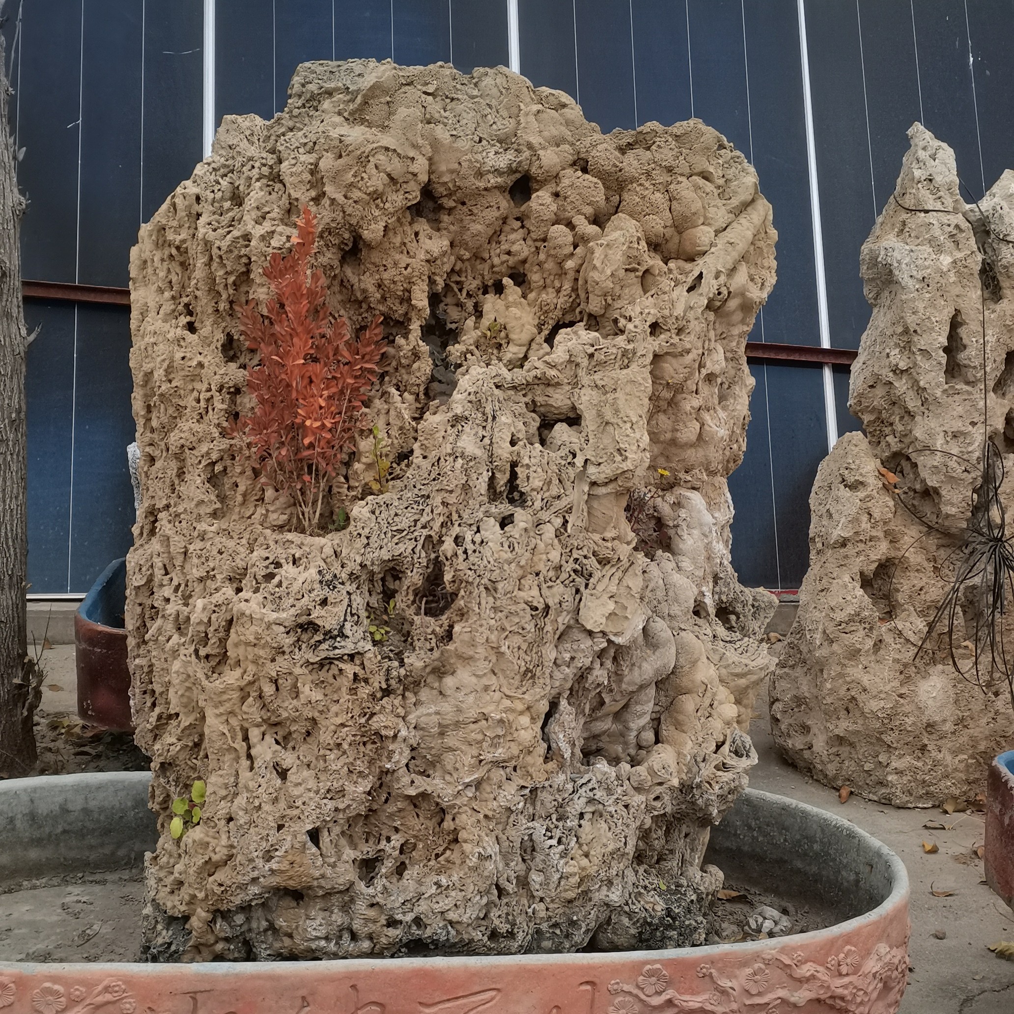 定制款吸水石盆景带盆一物一拍不支持七天无理由退货退款