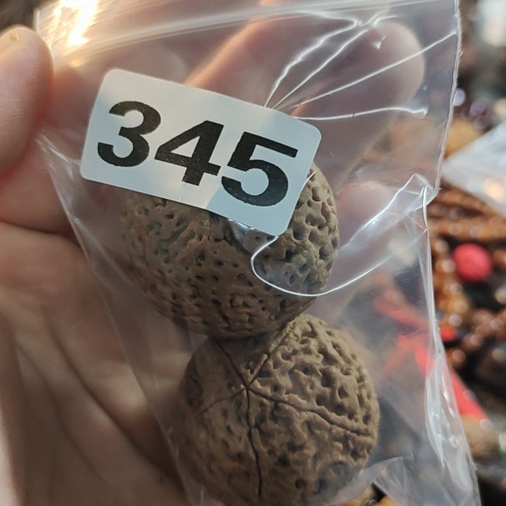 文玩核桃吊坠刘*言文玩核桃