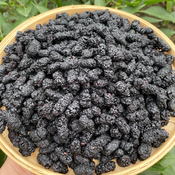 【杨老妹】山货桑葚250克农产品