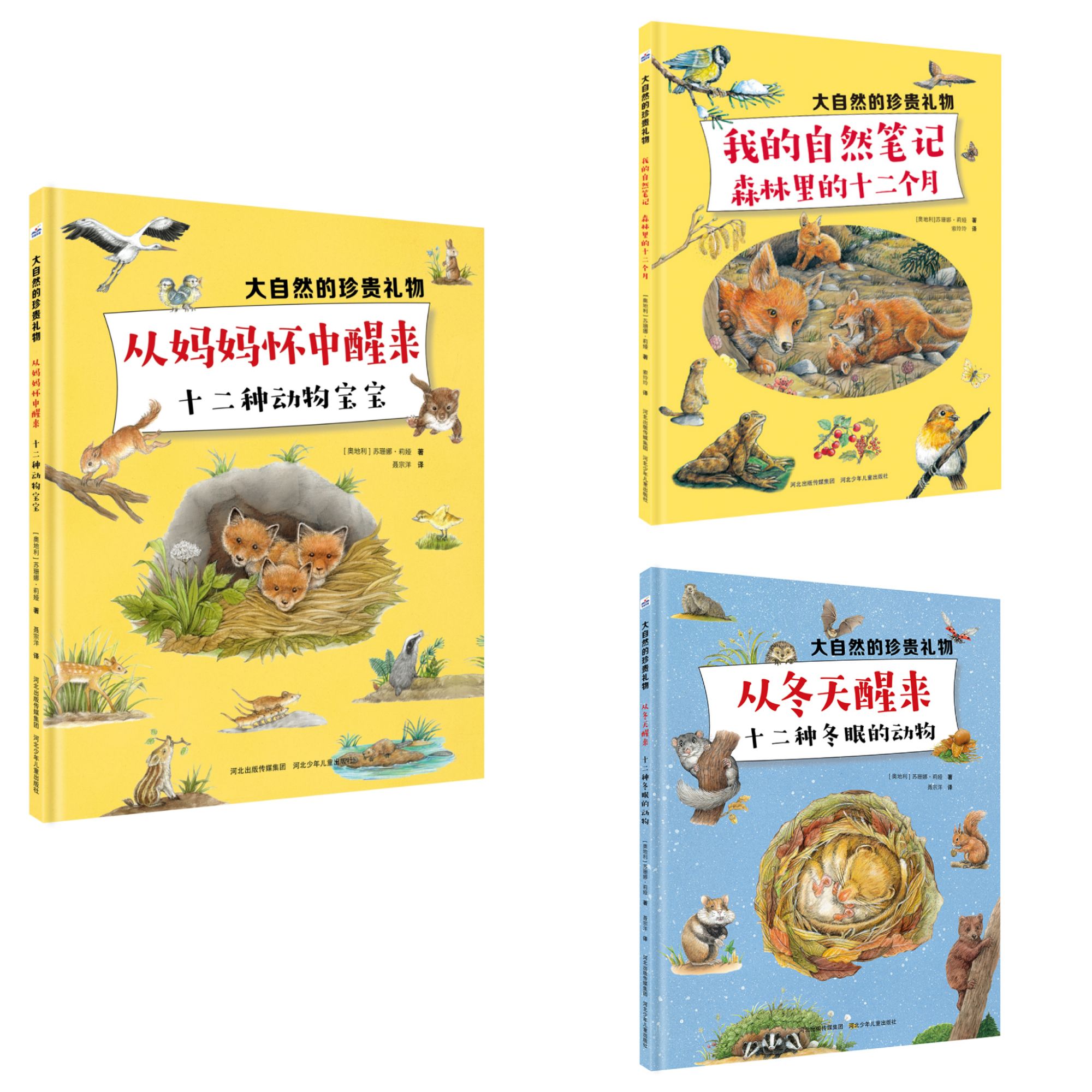 大自然的珍贵礼物 3本套装