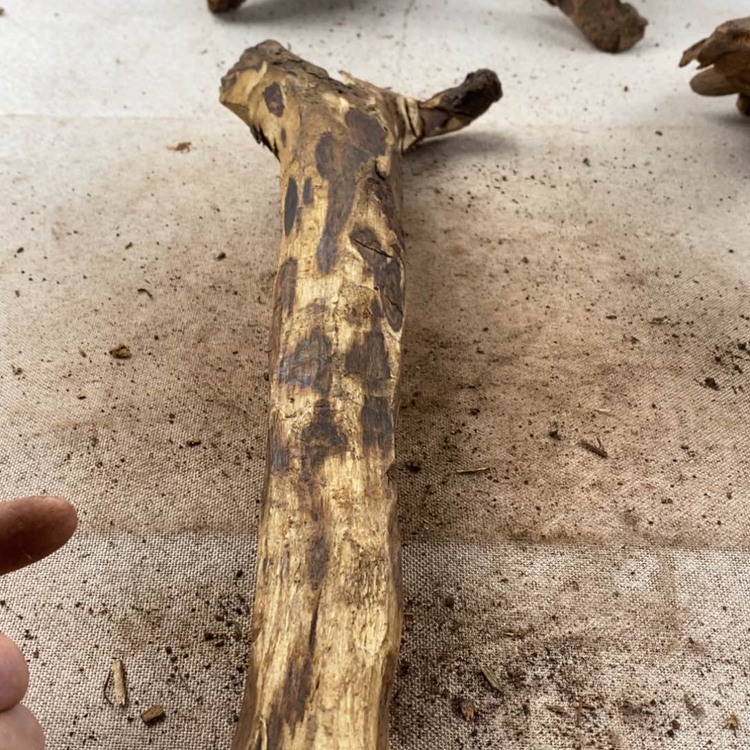 给***菜黄花梨/降香黄檀黄花梨随形料子1.5手串