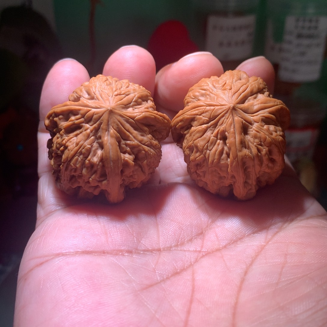 文玩核桃吊坠开播福利 平谷凹底三棱  40尺