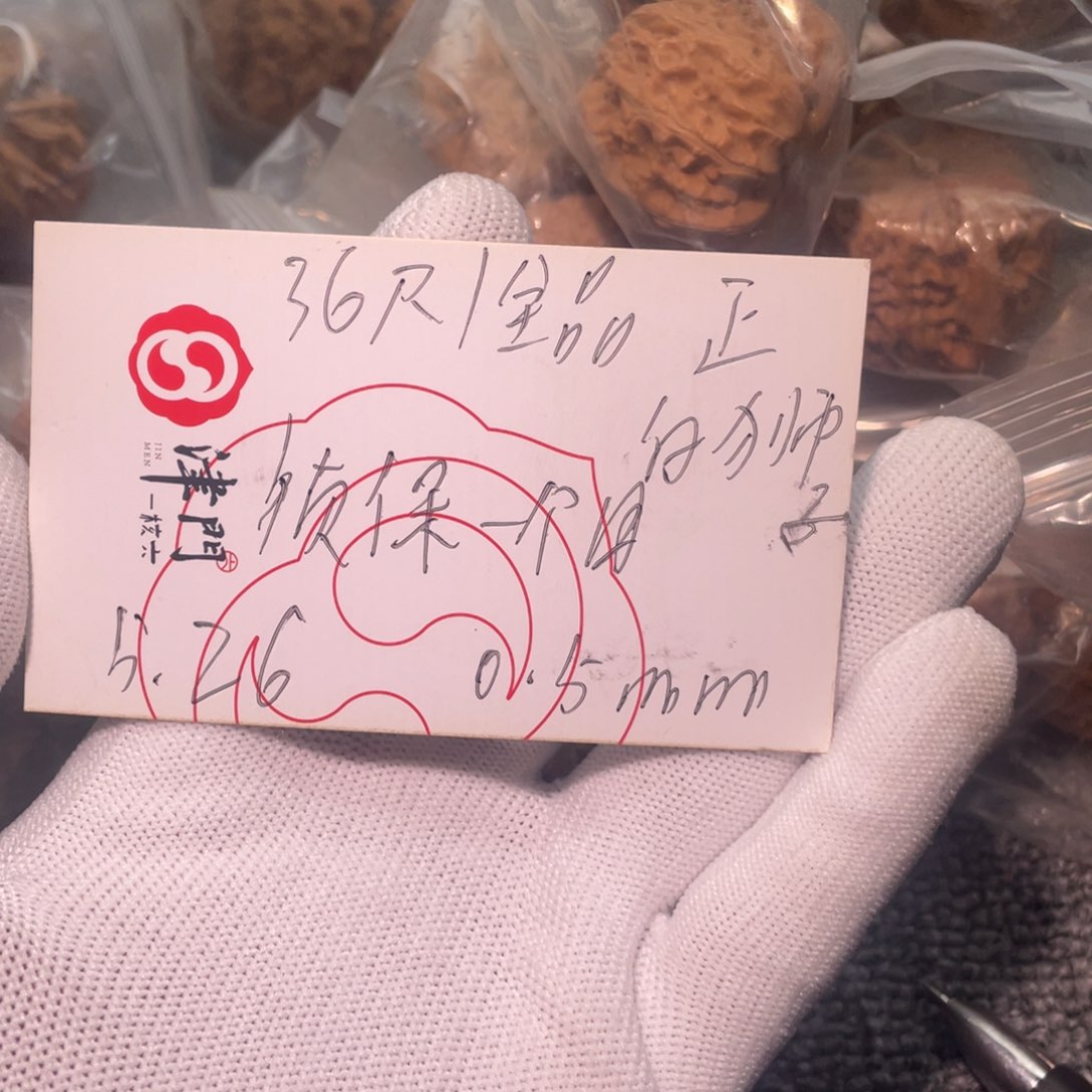 文玩核桃把件白狮