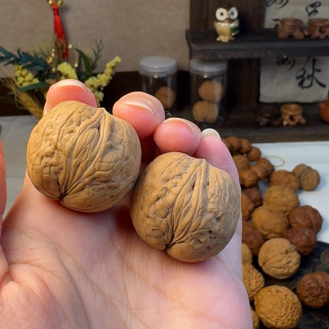 文玩核桃把件生命之源30