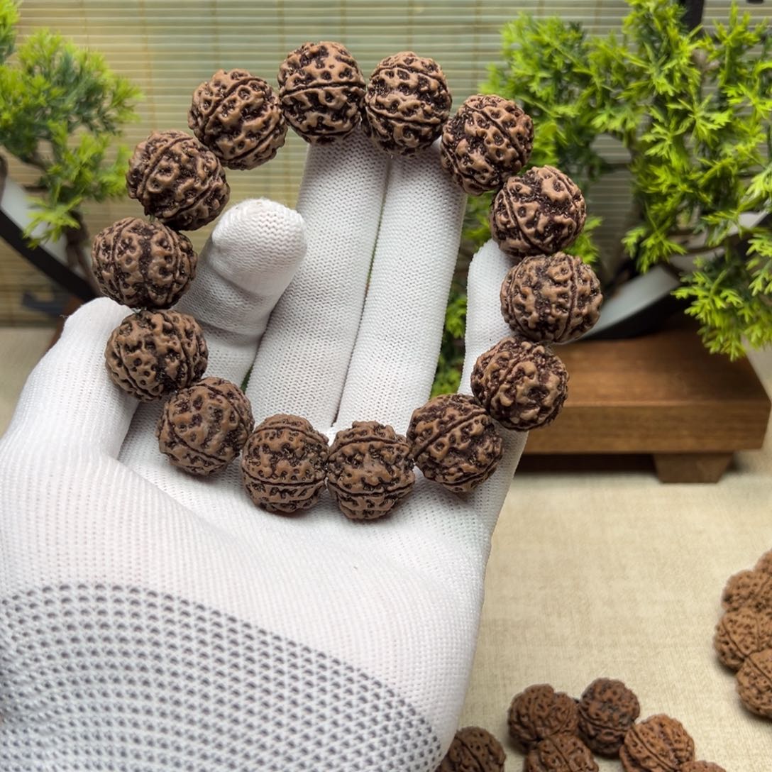 金刚菩提手串1原生态古龙粗筋红皮