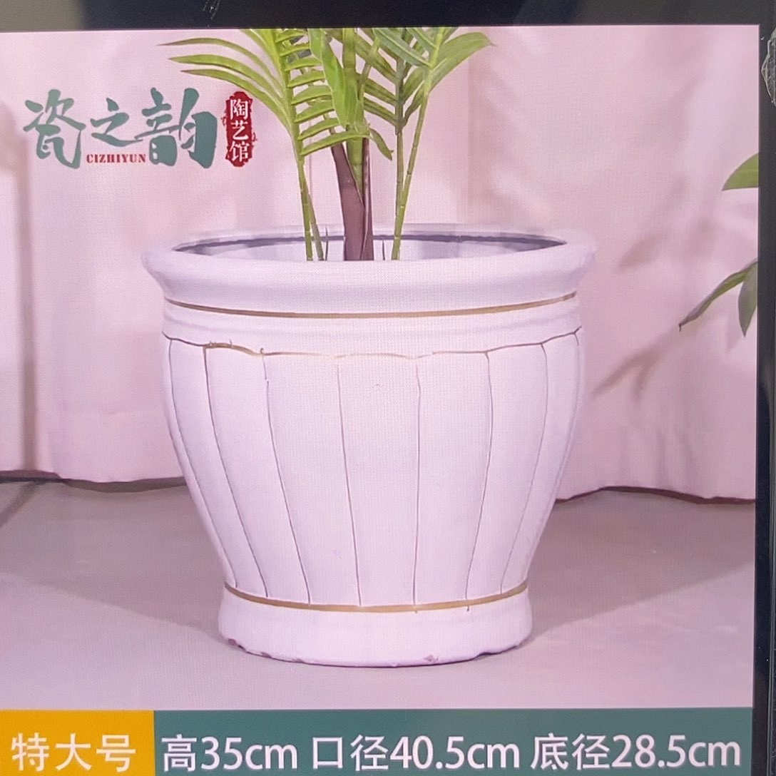金边白色南瓜低腰特大号