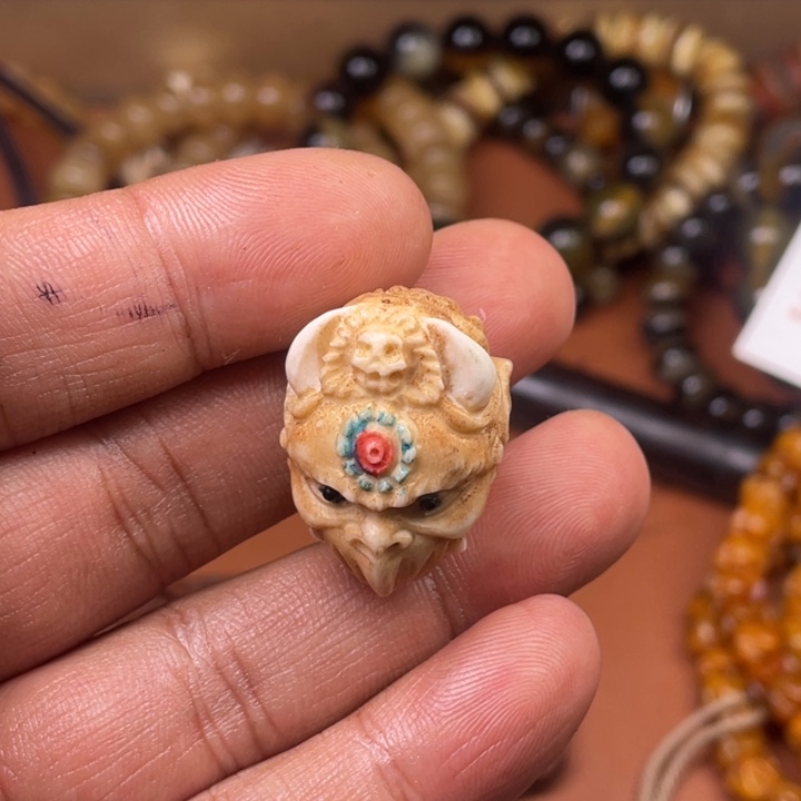 驼骨其他人工养殖