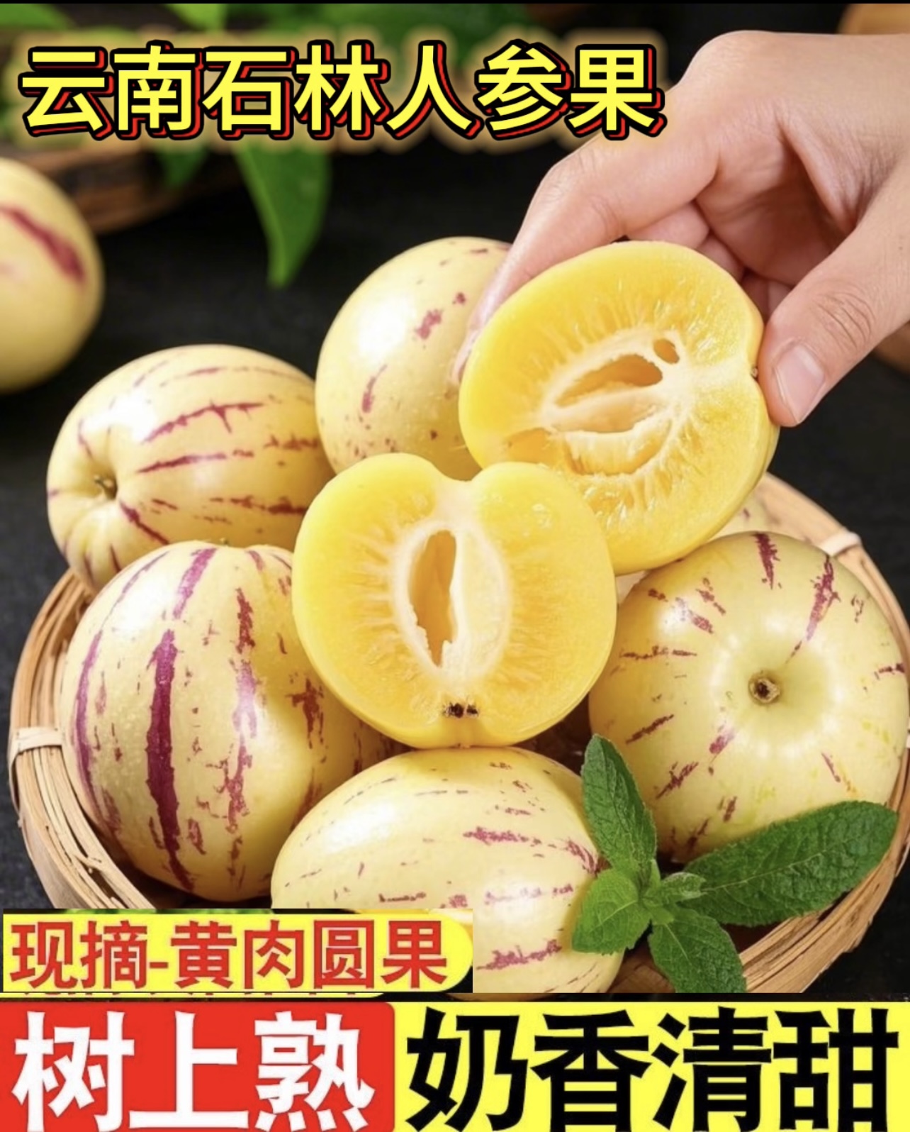 云南石林树上熟黄肉圆果果新鲜清甜多汁应季水果人参果大果人生果