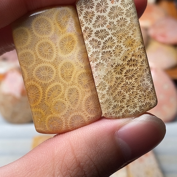 自***然硅化珊瑚未镶嵌颈饰