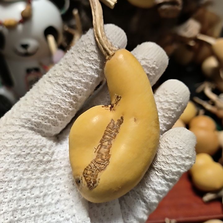 中***人6666666666666.....6666