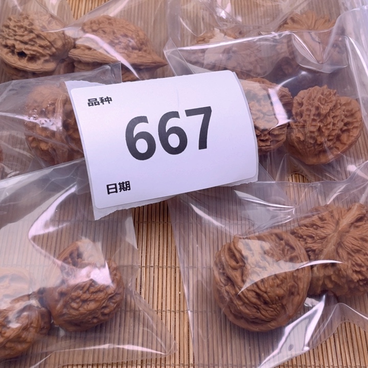 文玩核桃把件667号6对