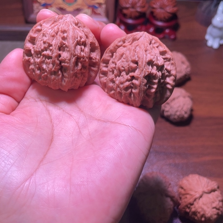 晴***鹤白狮子 全品无修 山地果