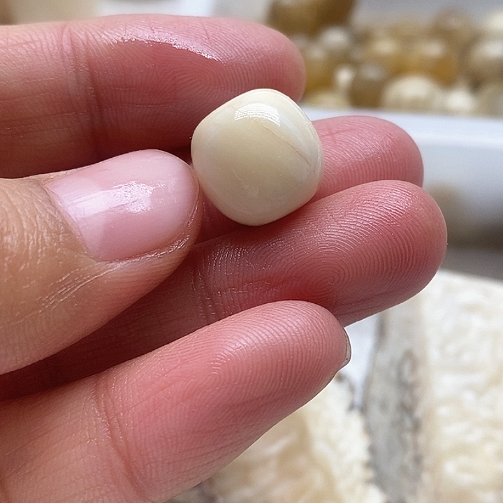 贝壳手串/手链13.1成13.3毫米老邢手链