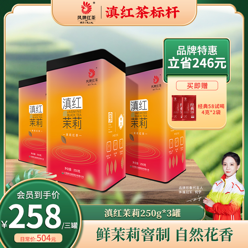 凤牌茉莉滇红茶250克*3罐 沅江茉莉花窨制香气浓醇甜润花香四溢