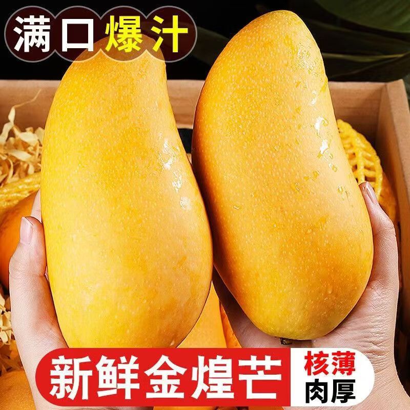 正宗海南金煌芒/肉厚核薄/催熟后放软再吃/4.5-5斤