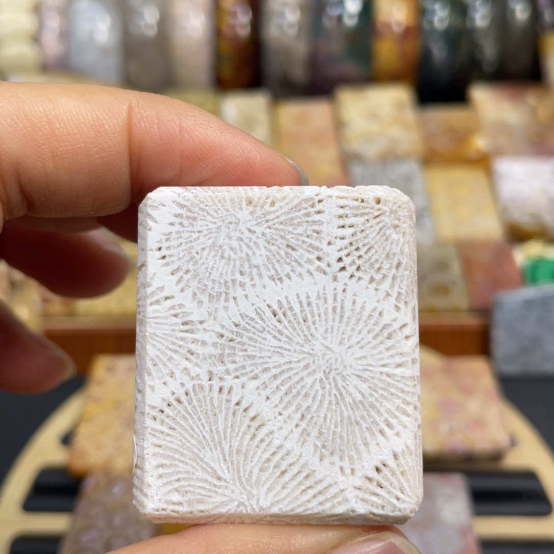 硅化玉未镶嵌颈饰k71