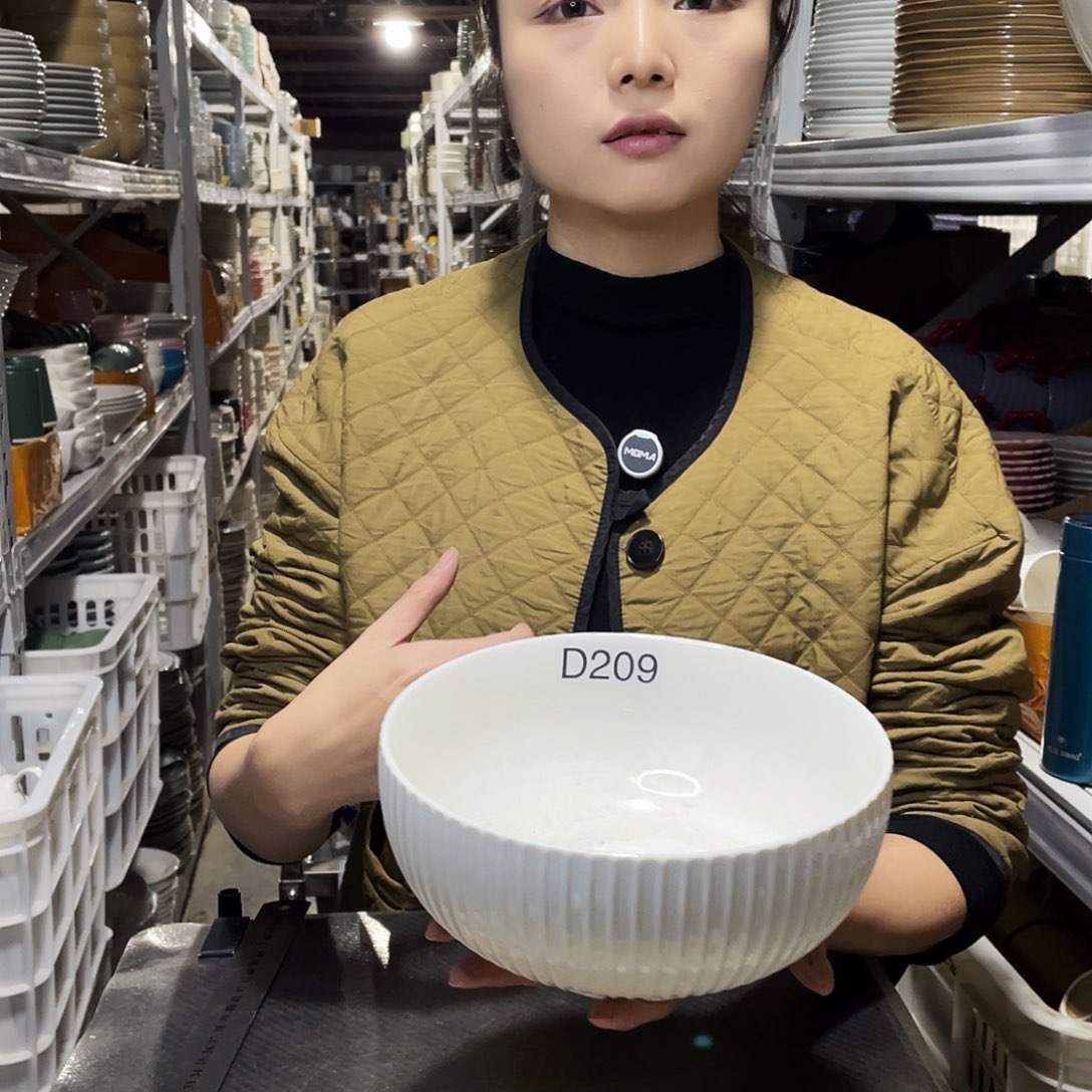 瓷片209              1个