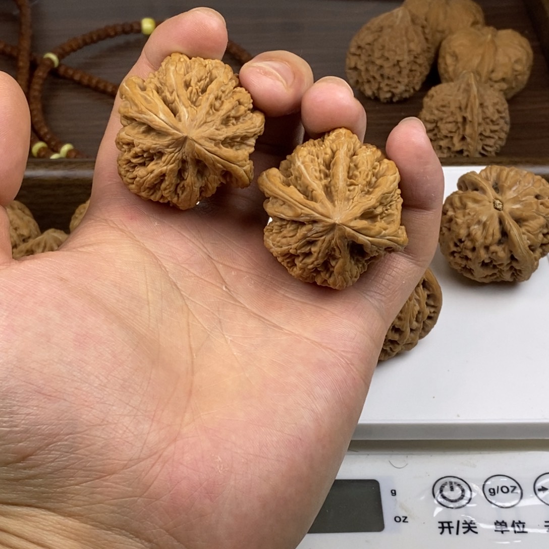 核桃全品红皮大粗筋44尺寸