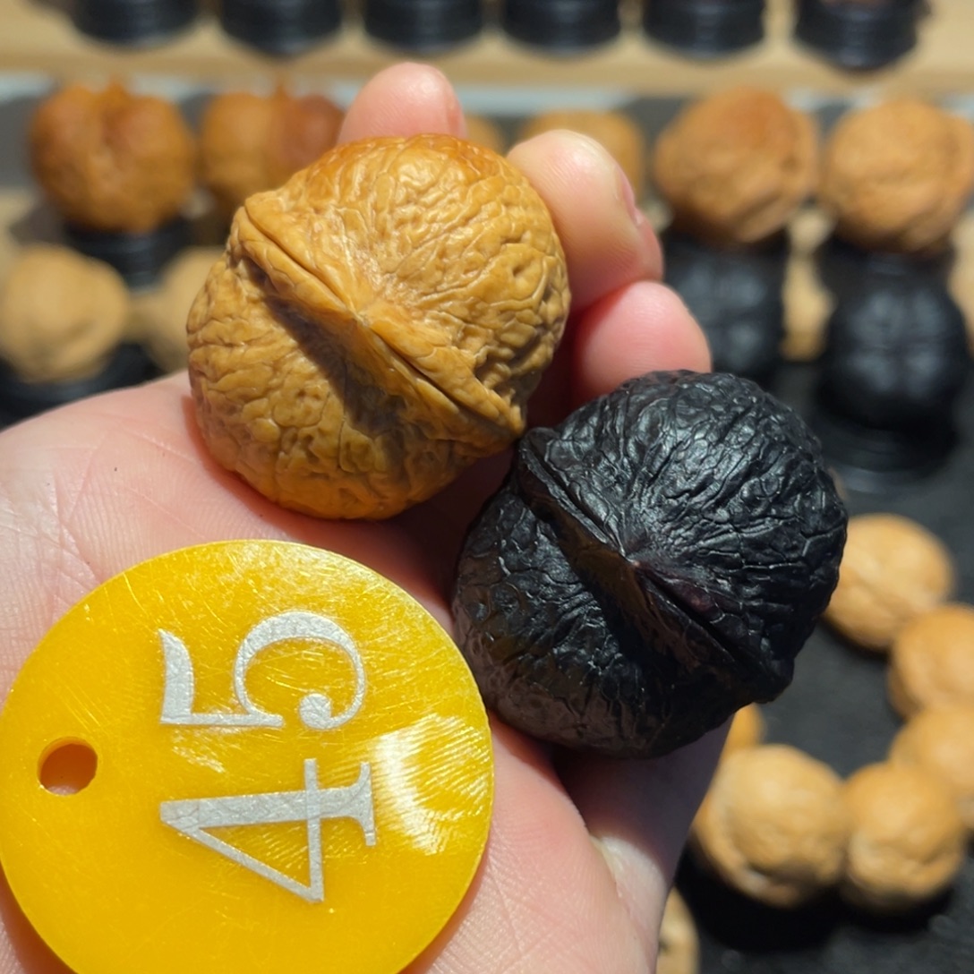 双色龙珠核桃34。  