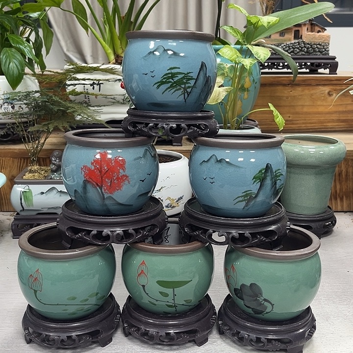 花盆抢购福利活动