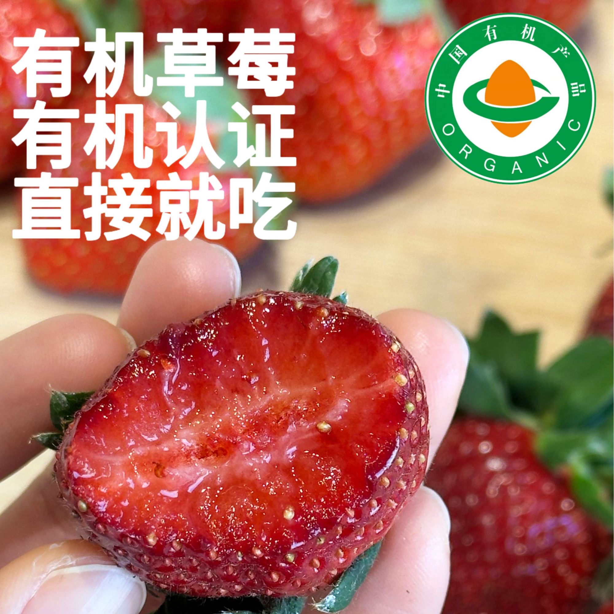 【有机草莓】免洗现摘先发有机黑珍珠红草莓·2盒