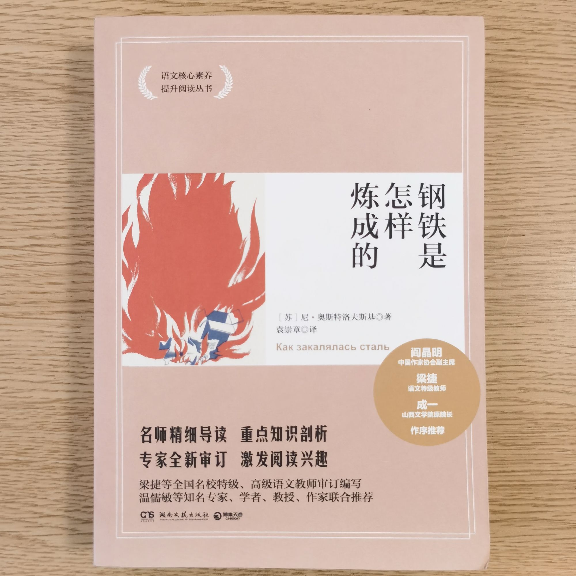 《钢铁是怎样练成的》青少年阅读·经典名著