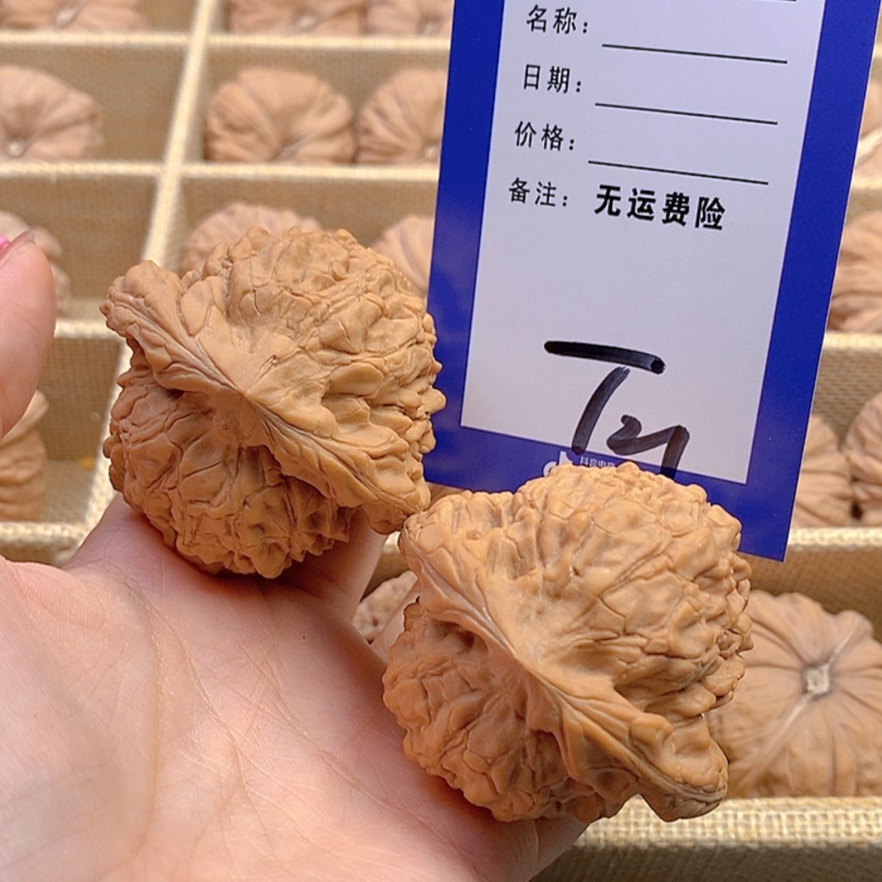 【闪购商品】把件文玩核桃大***儿文玩核桃龙鼎21