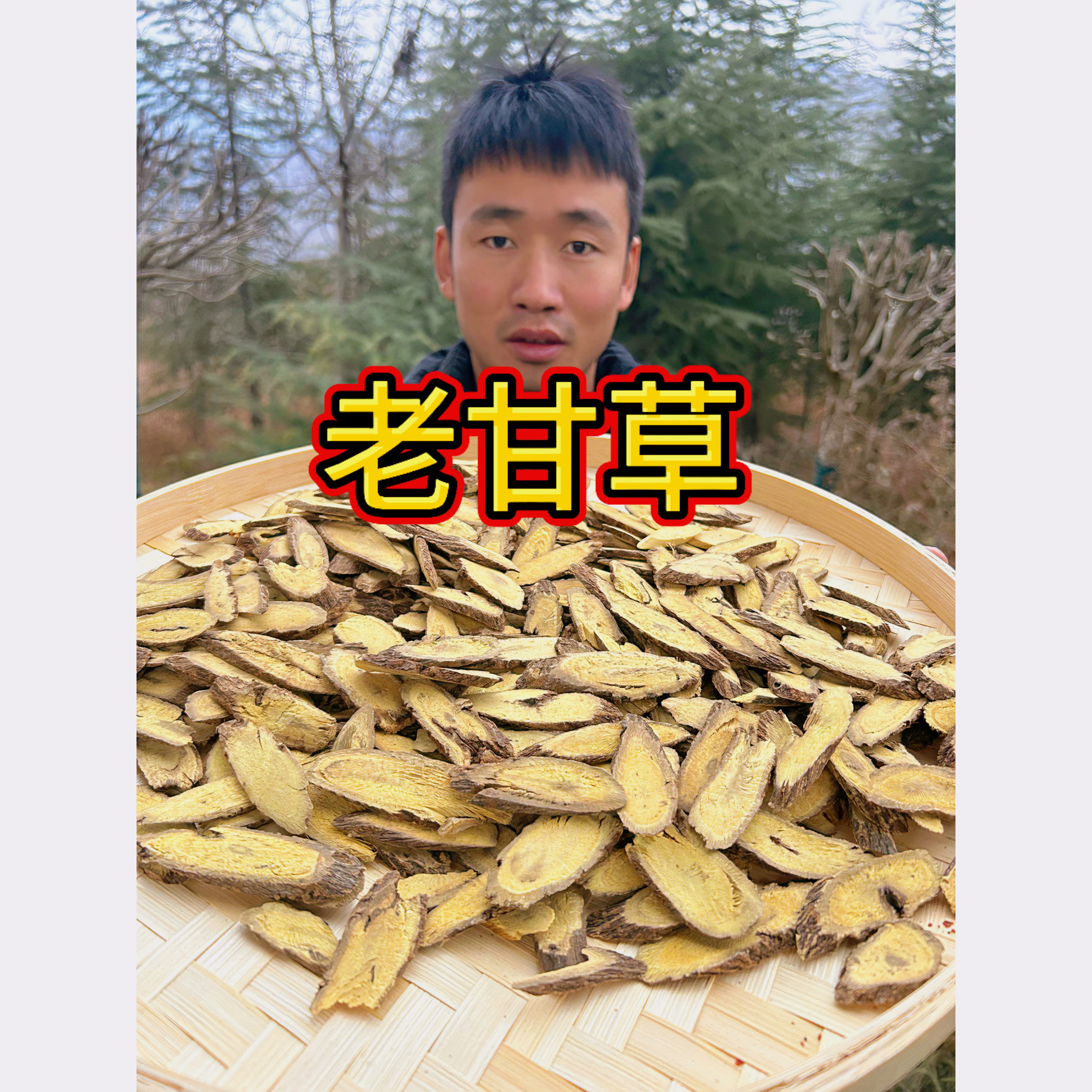 【老甘草】甘肃精选多年生粗皮老甘草，非种植大片泡水包邮