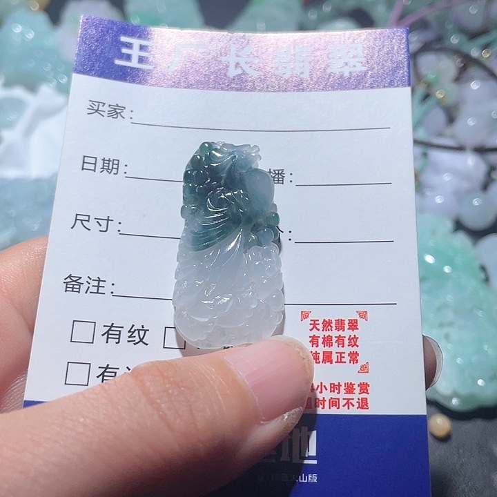 翡翠未镶嵌颈饰天然