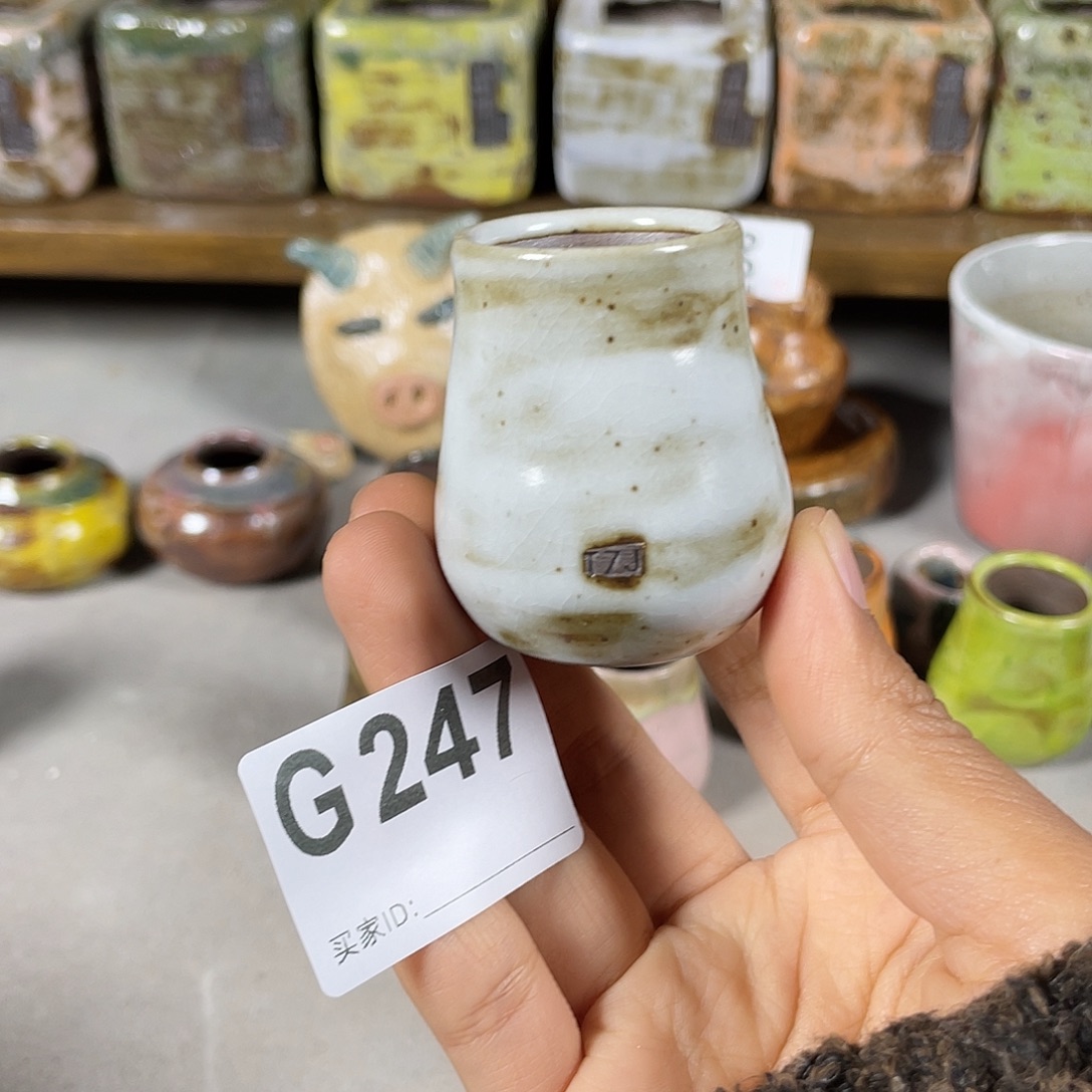 坛子姐多肉花盆拇指盆 内口2.5