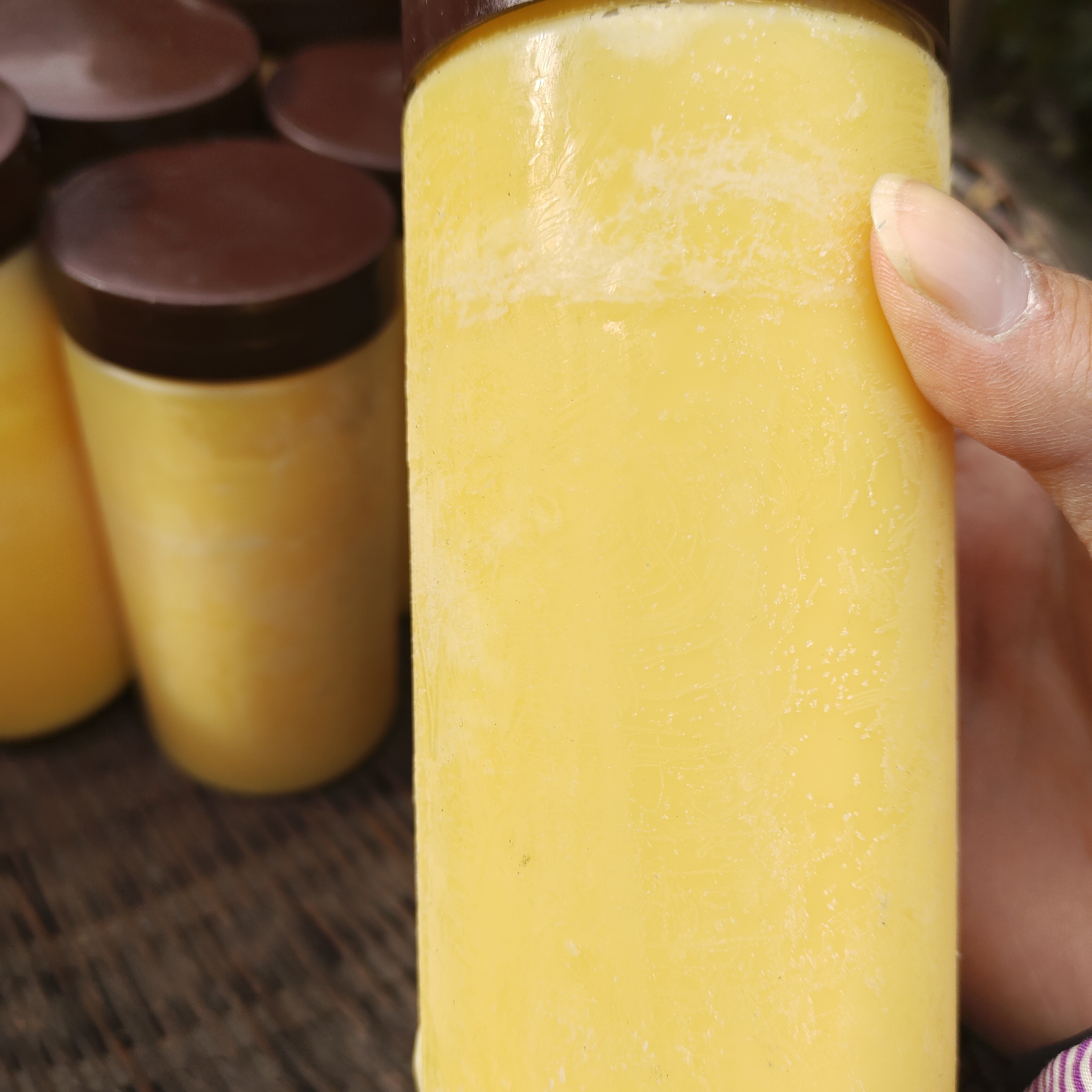 【村民代卖】大巴山散养跑山鸡 鸡油