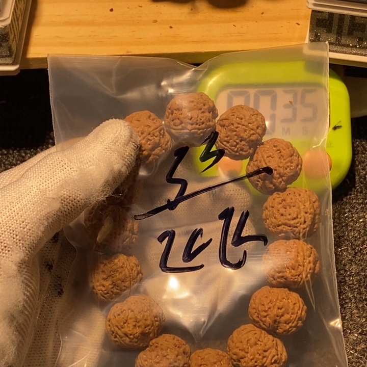 飞****金刚菩提吊坠你不去上班就好