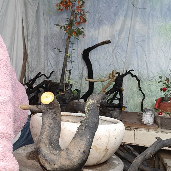 悟***空无花朵一个一个一个一个一个