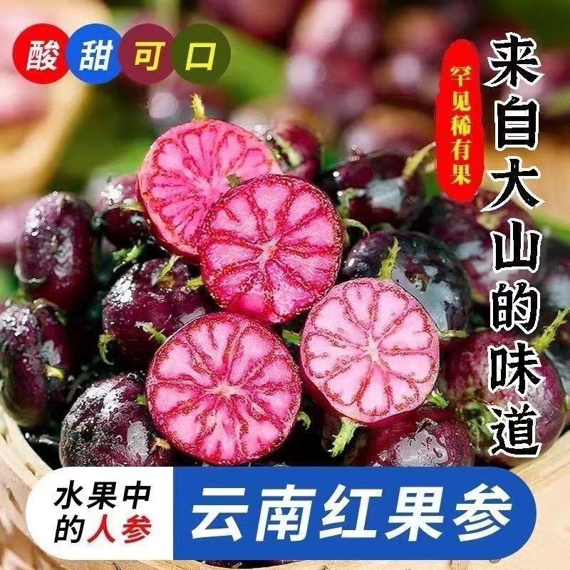 新鲜红果参特大果云南蜘蛛果罕见水果孕妇美容黑果参算盘果现摘