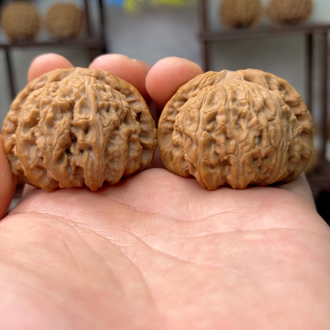 文玩核桃吊坠九*虎全品42白狮子