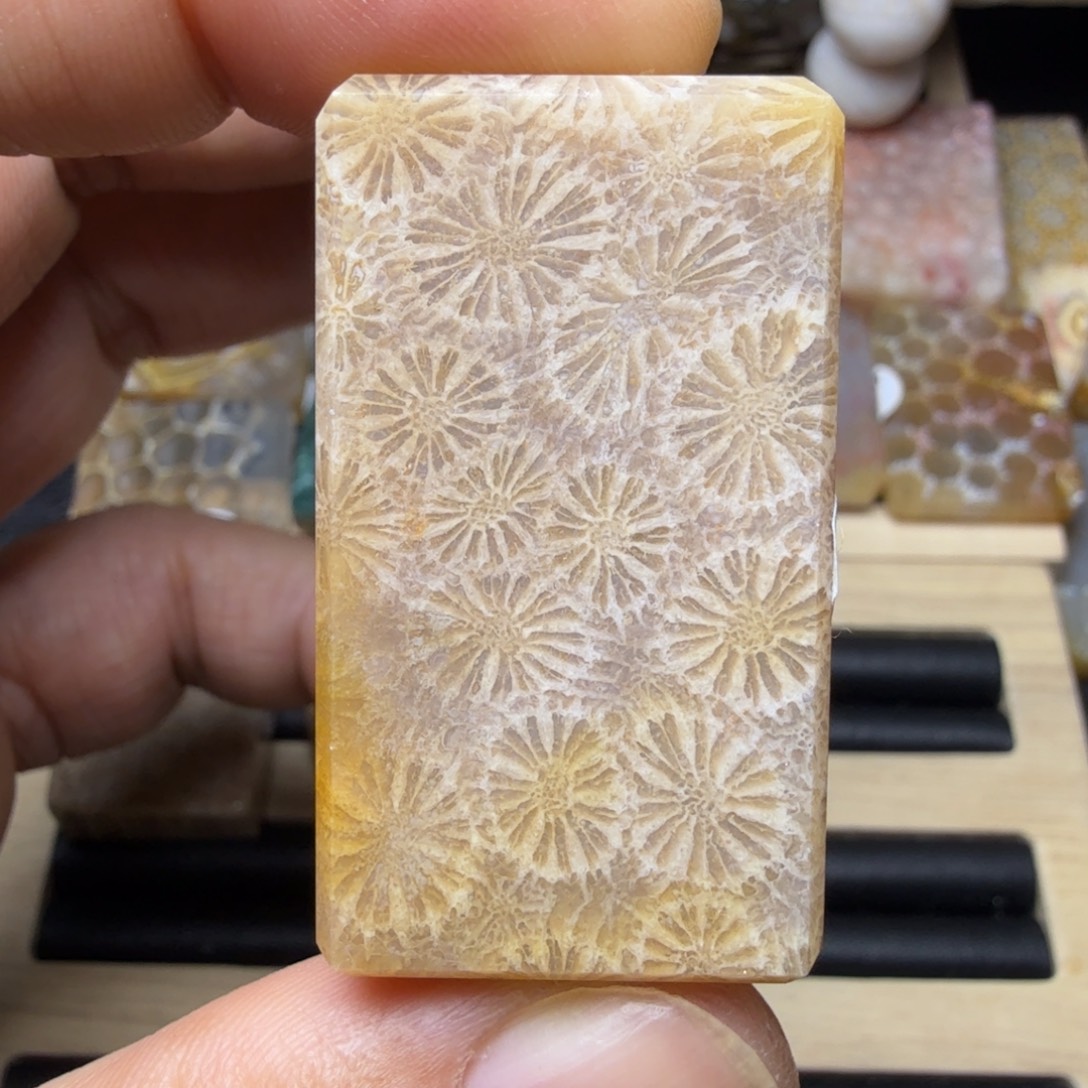 硅化玉未镶嵌纯天然色有机玉石保真色