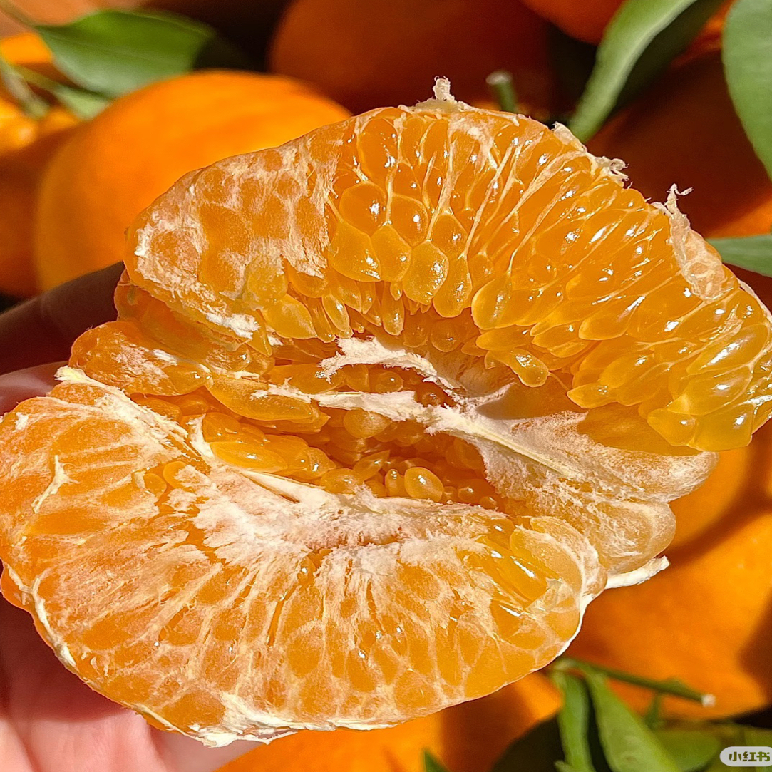 正宗四川春见耙耙柑新鲜爆汁多汁爽口细腻自然熟带叶发货水果橘子当季整箱四川省