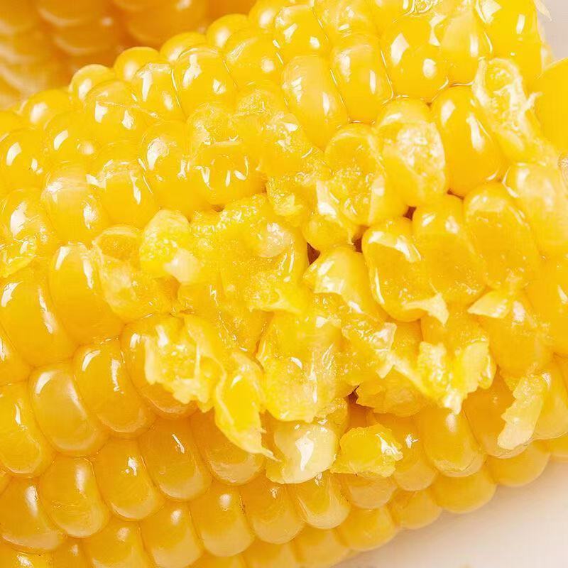 【10大棒】真空包装东北玉米新鲜糯玉米东北黄糯黄金玉米