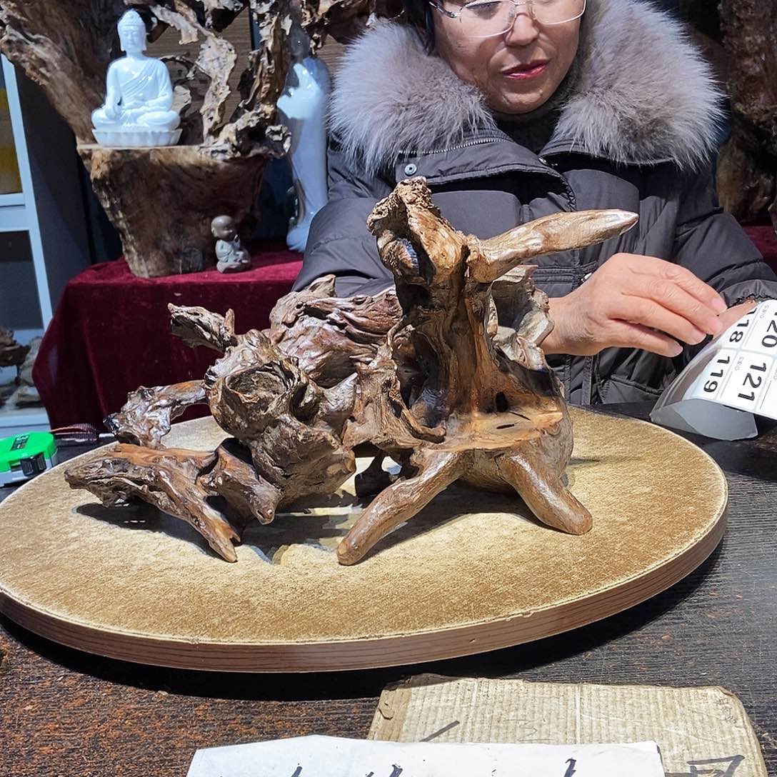 梅***舞118。株木随行根艺