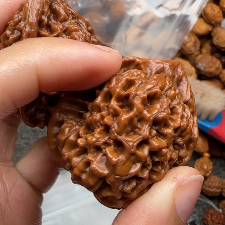 橄榄核吊坠橄榄菜等经济作物