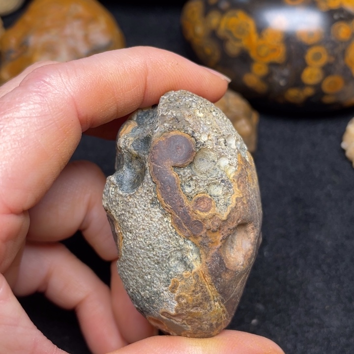 石材九眼页岩钱币石原石168