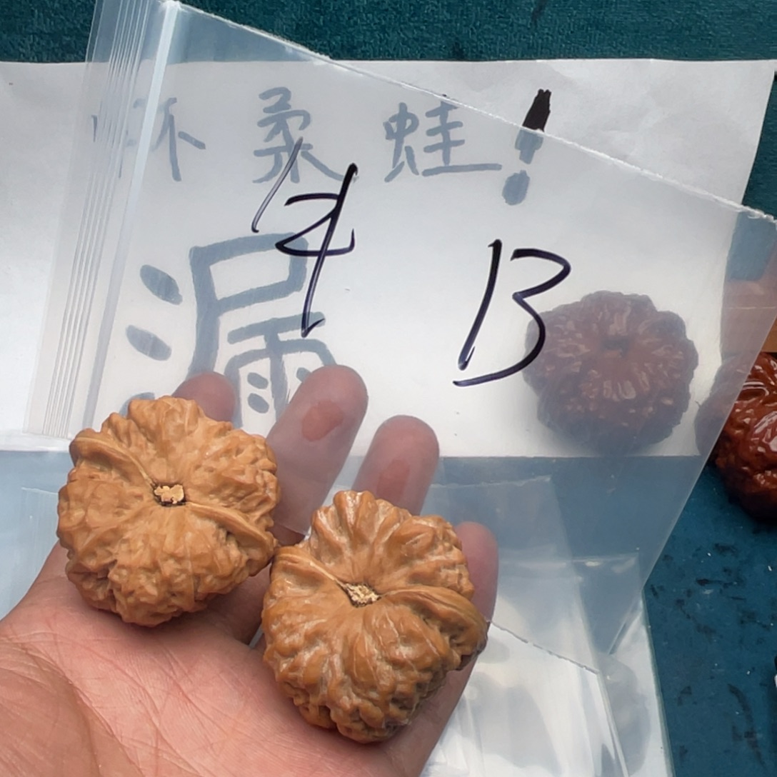 核桃W04740747946946963469