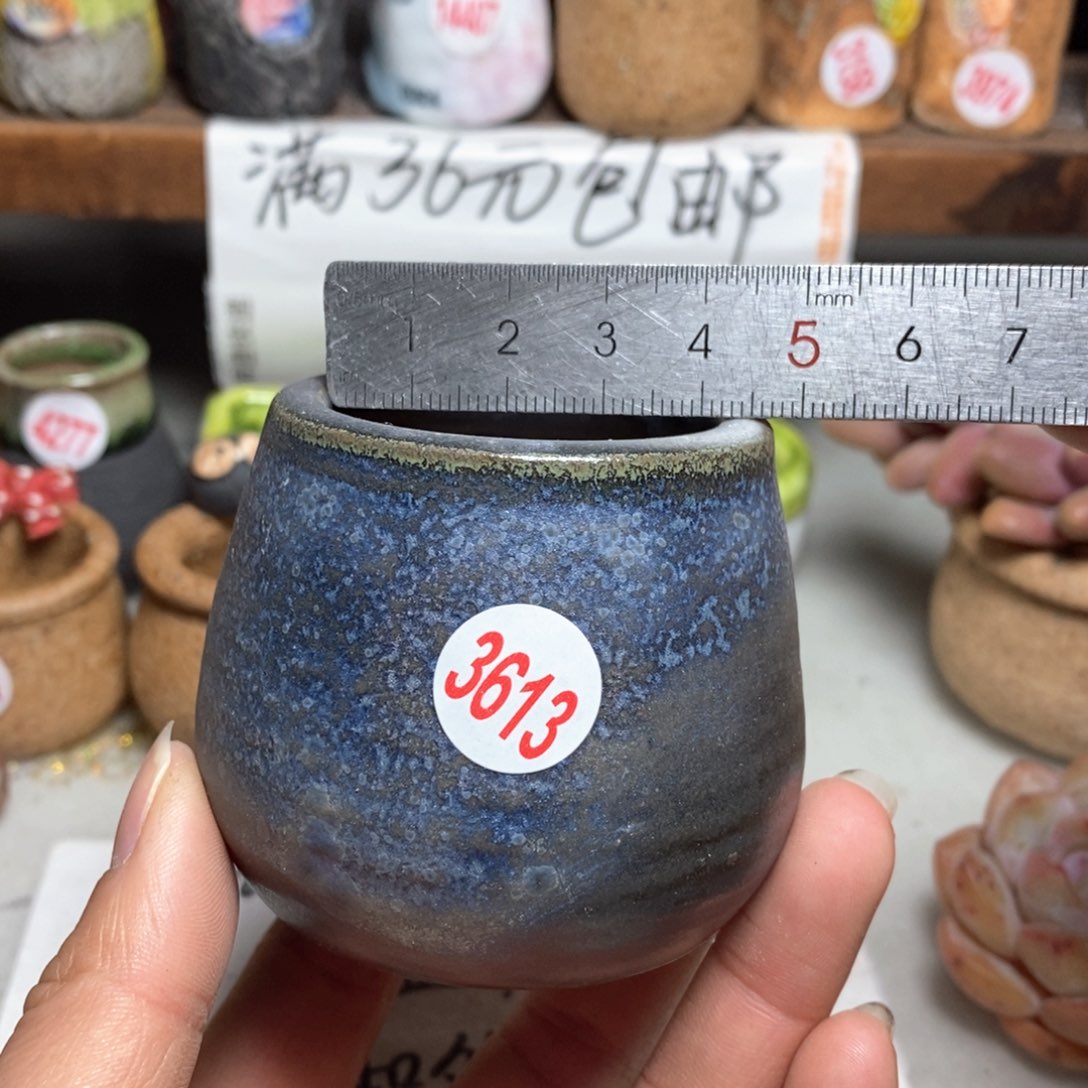 红陶拍5送一个小
